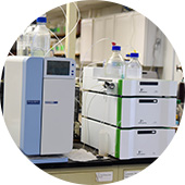 Research & Development